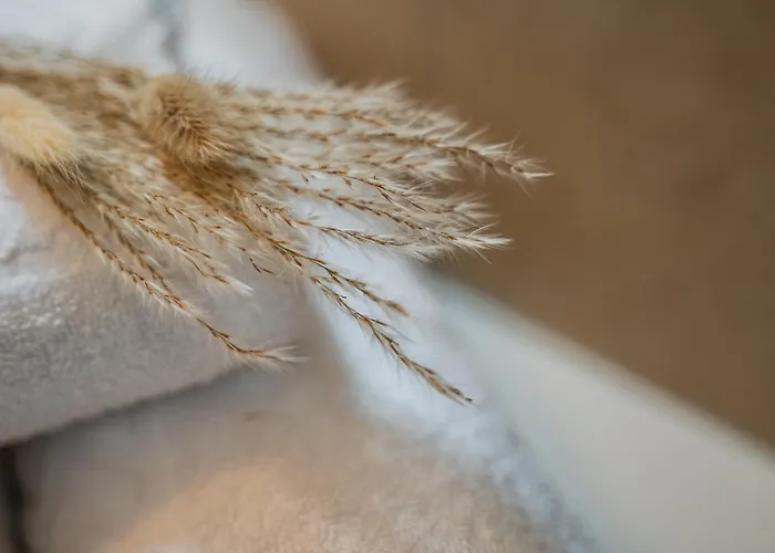 Bologna, Vicino Al Centro E Ospedale Sant'orsola, Parcheggio Privato - Corde & Colori Apartmán