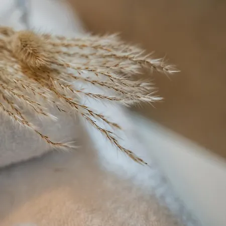 Bologna, Vicino Al Centro E Ospedale Sant'orsola, Parcheggio Privato - Corde&colori Appartamento